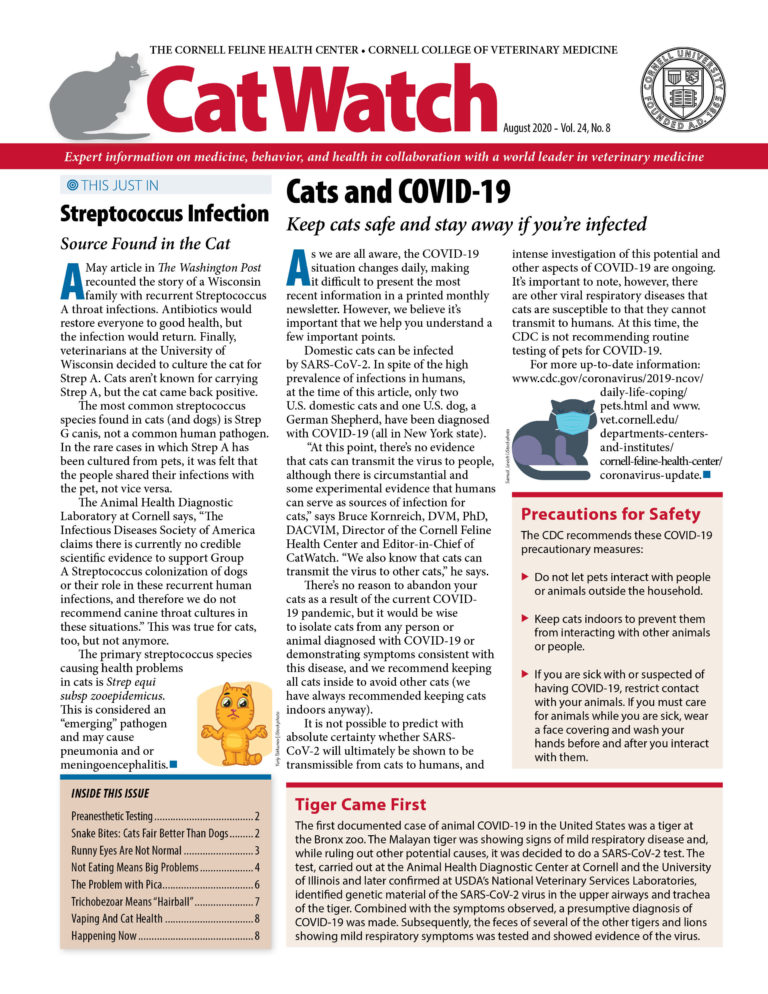 Download the Full August 2020 Issue PDF