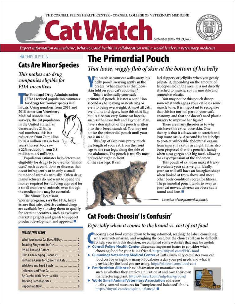 Download the Full September 2020 Issue PDF