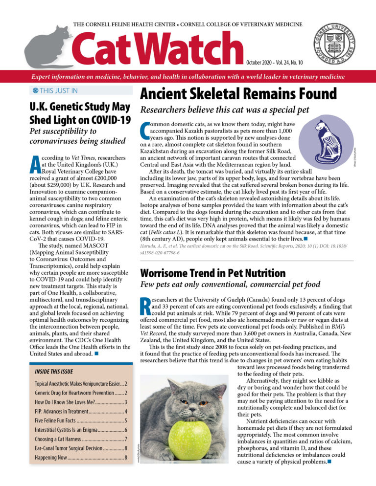 Download the Full October 2020 Issue PDF