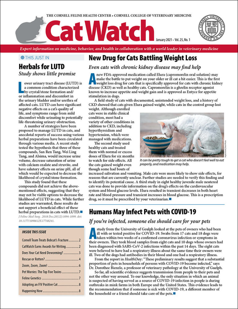 Download the Full January 2021 Issue PDF