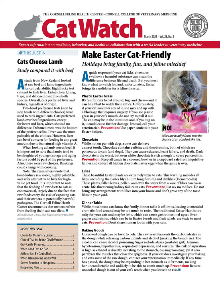 Download the Full March 2021 Issue PDF