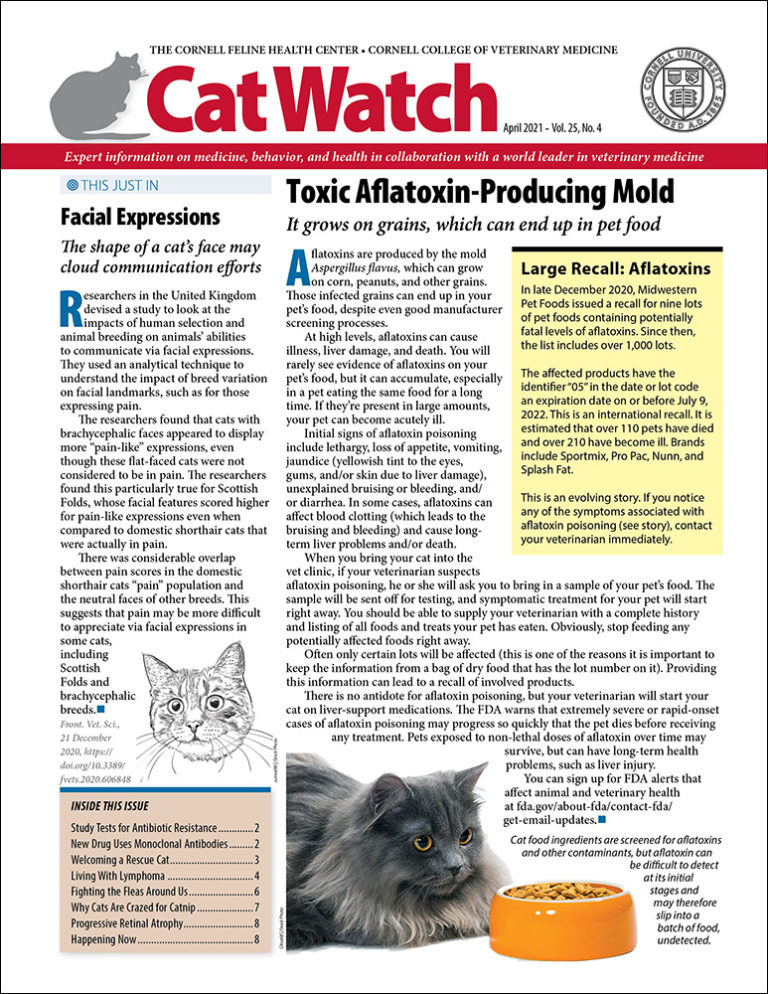 Download the Full April 2021 Issue PDF