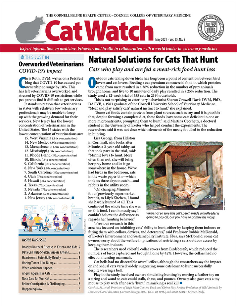 Download the Full May 2021 Issue PDF