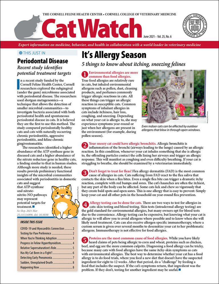 Download the Full June 2021 Issue PDF