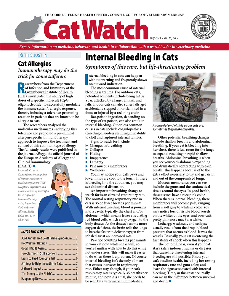 The Telling Sign Of Fatty Liver Disease In Cats Catwatch Newsletter
