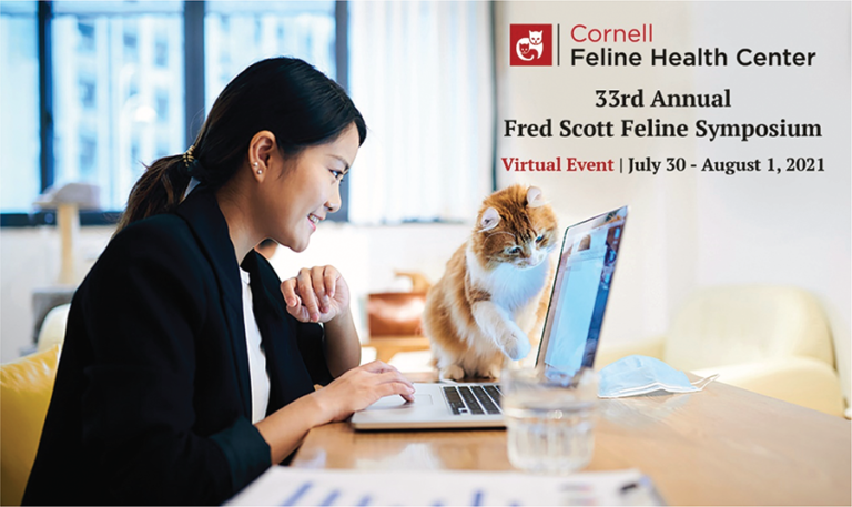 The 33rd Annual Fred Scott Feline Symposium
