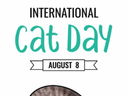 International Cat Day