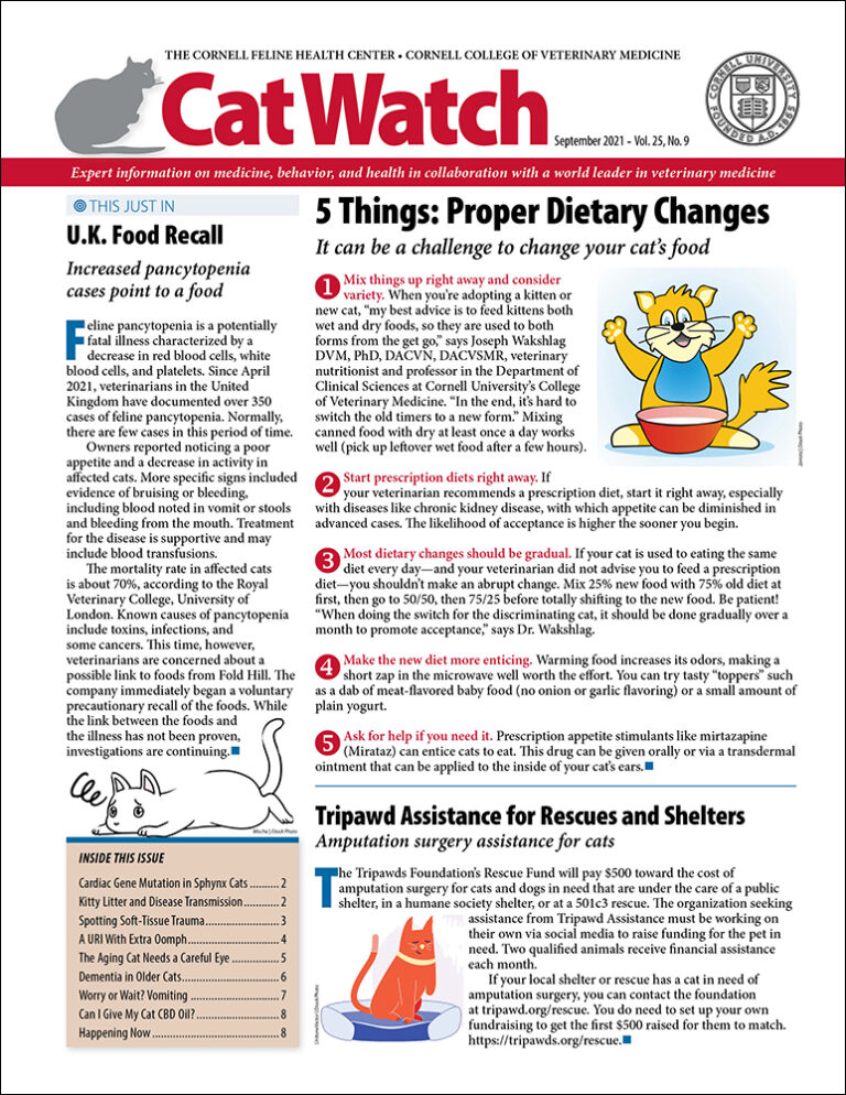 Download the Full September 2021 Issue PDF