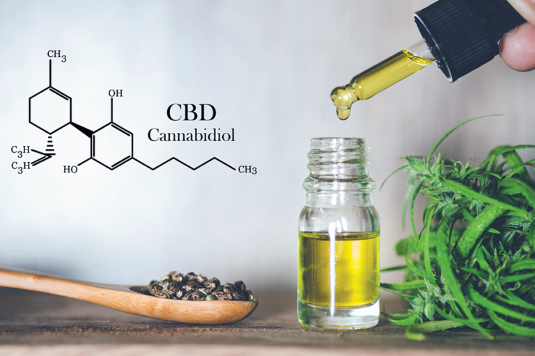 Can I Give My Cat CBD Oil?