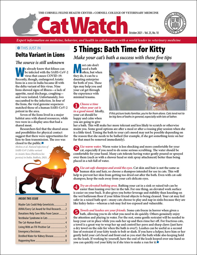 Download the Full October 2021 Issue PDF
