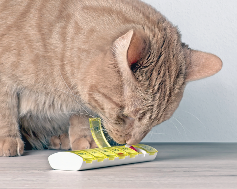 Handling Medications