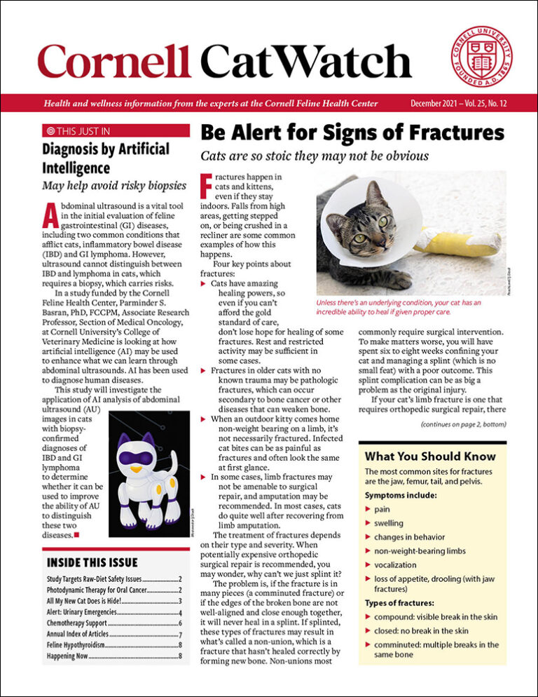 Download the Full December 2021 Issue PDF