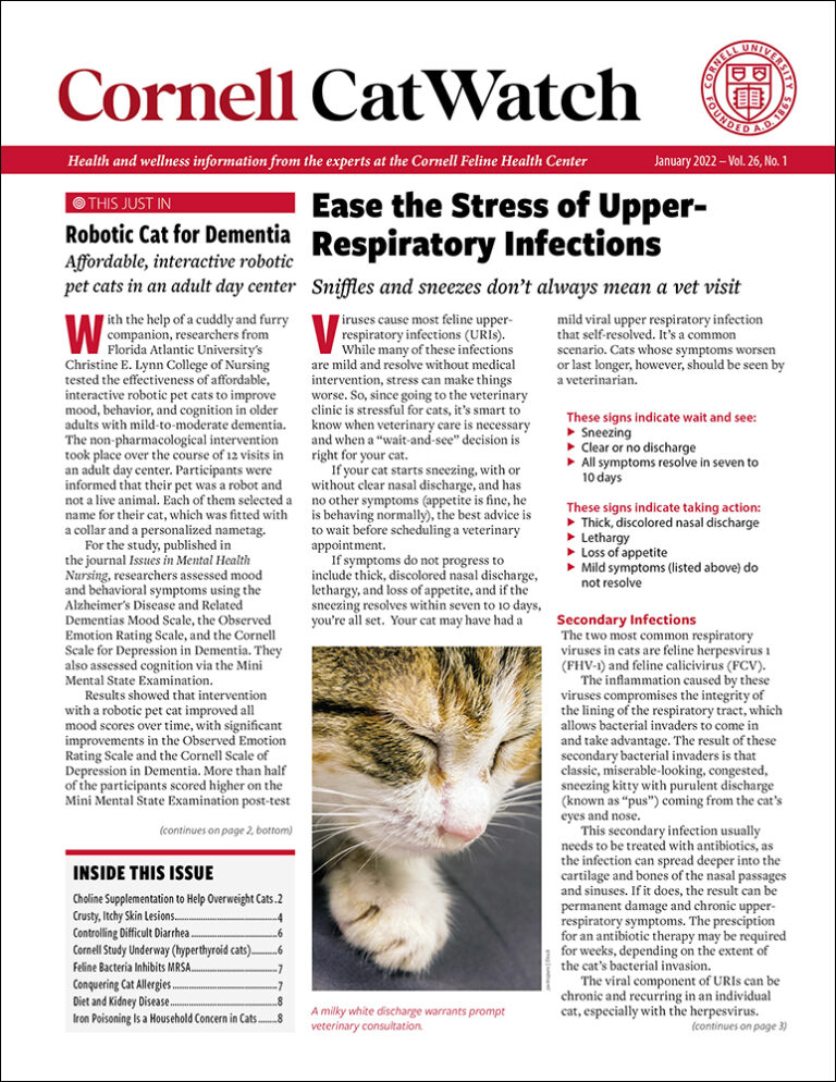 Download the Full January 2022 Issue PDF
