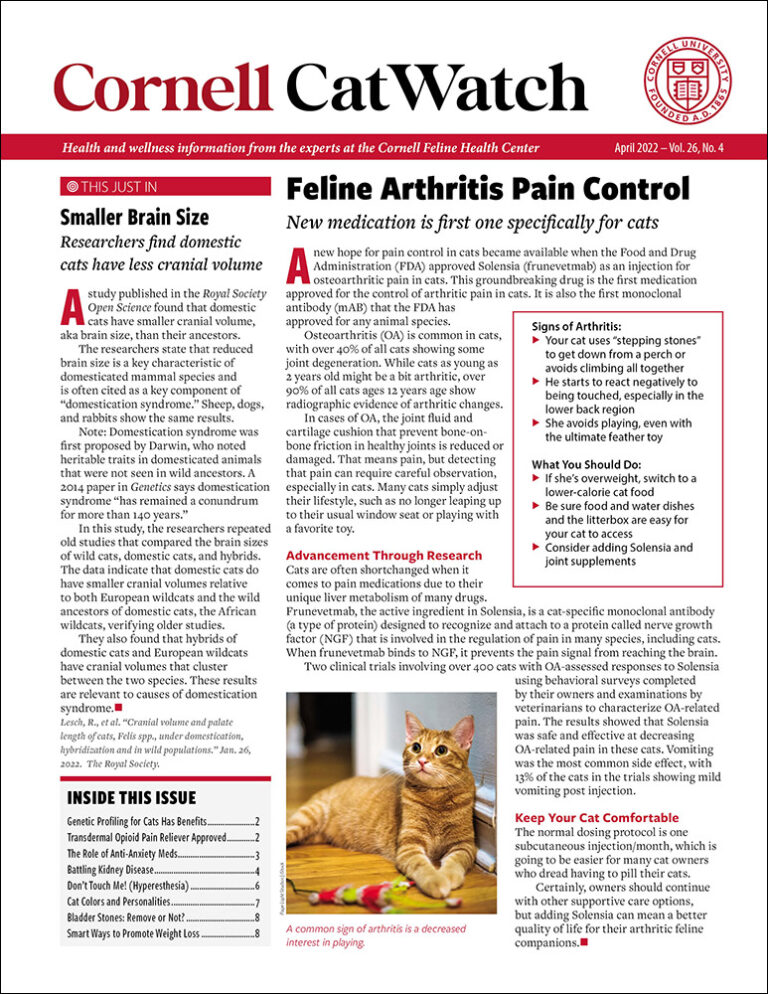Download The Full April 2022 Issue PDF