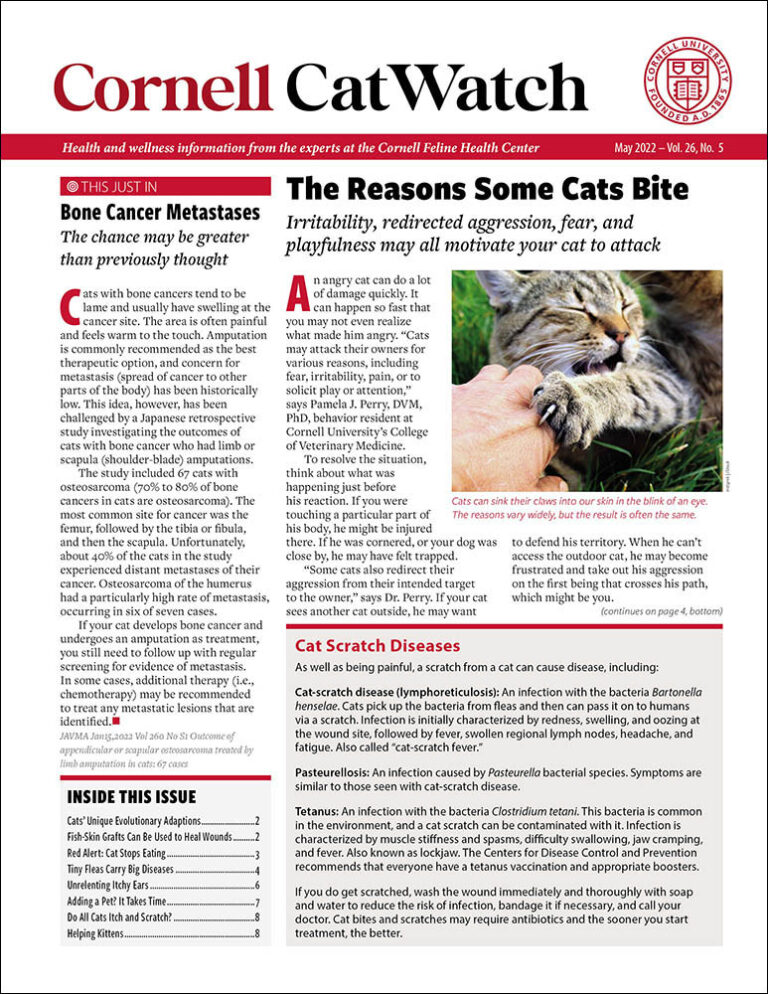 Download The Full May 2022 Issue PDF