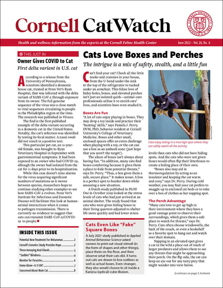 Download The Full June 2022 Issue PDF