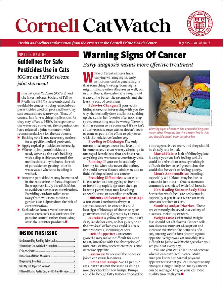 Download The Full July 2022 Issue PDF