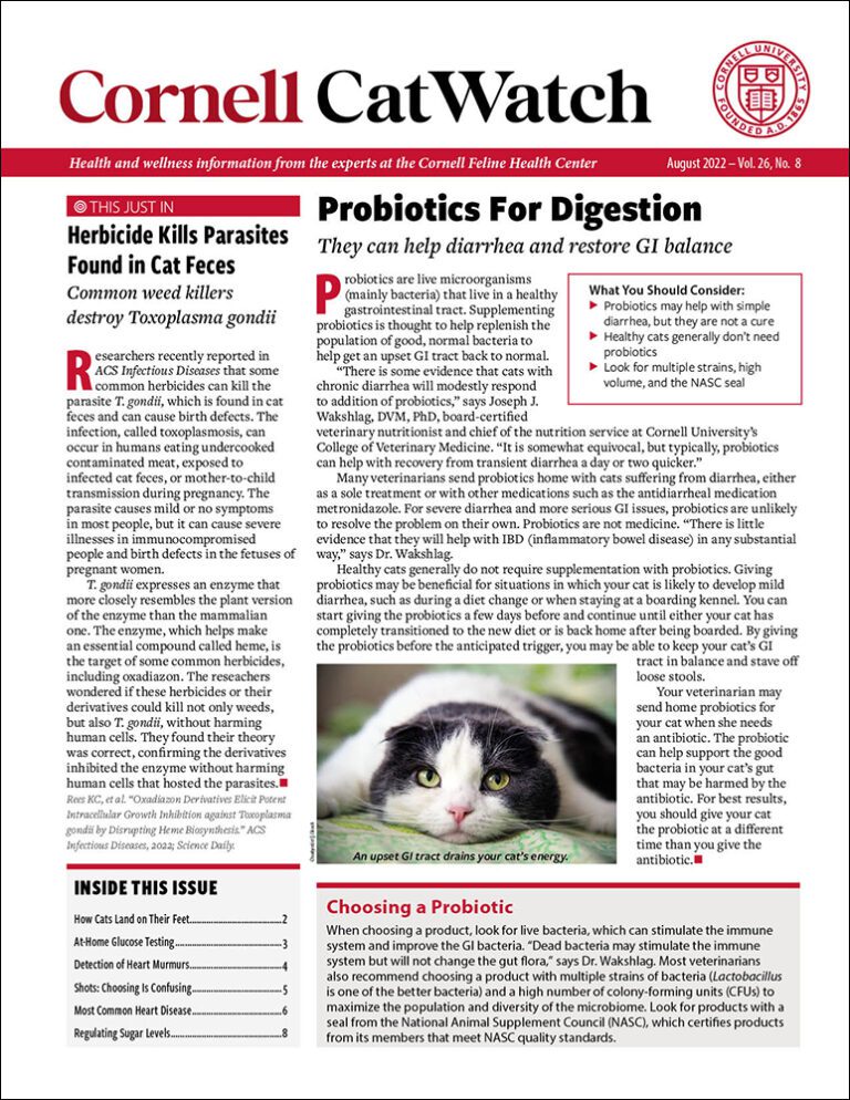 Download The Full August 2022 Issue PDF