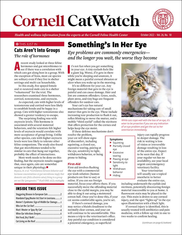 Download The Full October 2022 Issue PDF