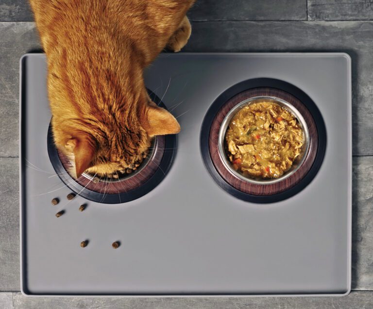 Cat-Food Label Short Course
