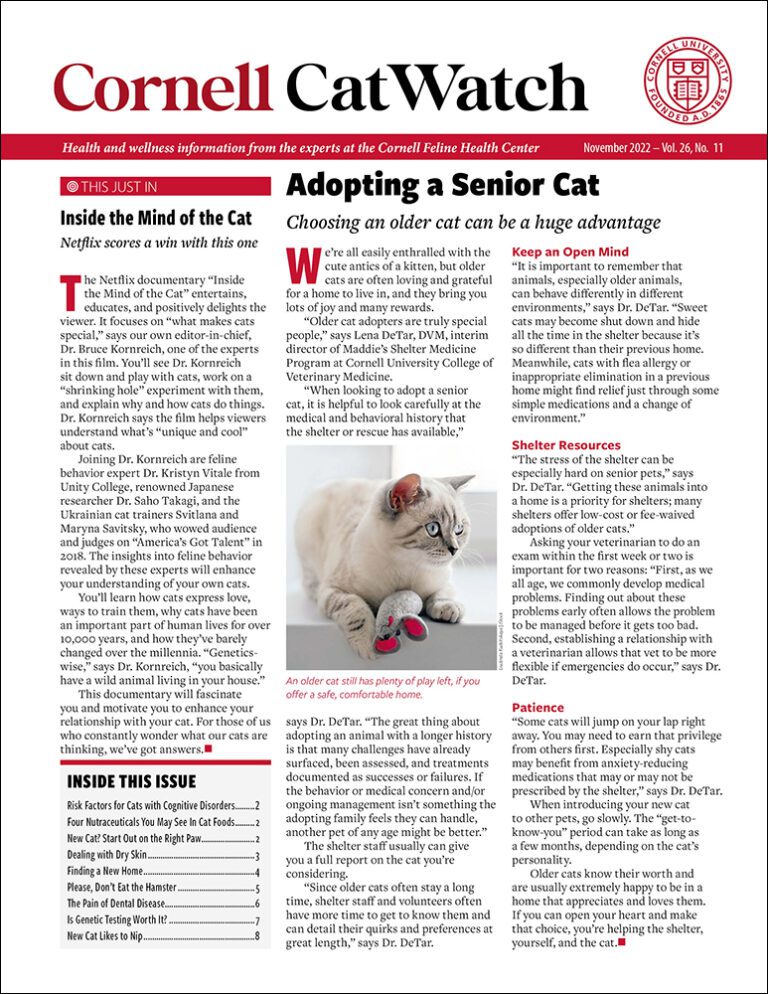 Download The Full November 2022 Issue PDF