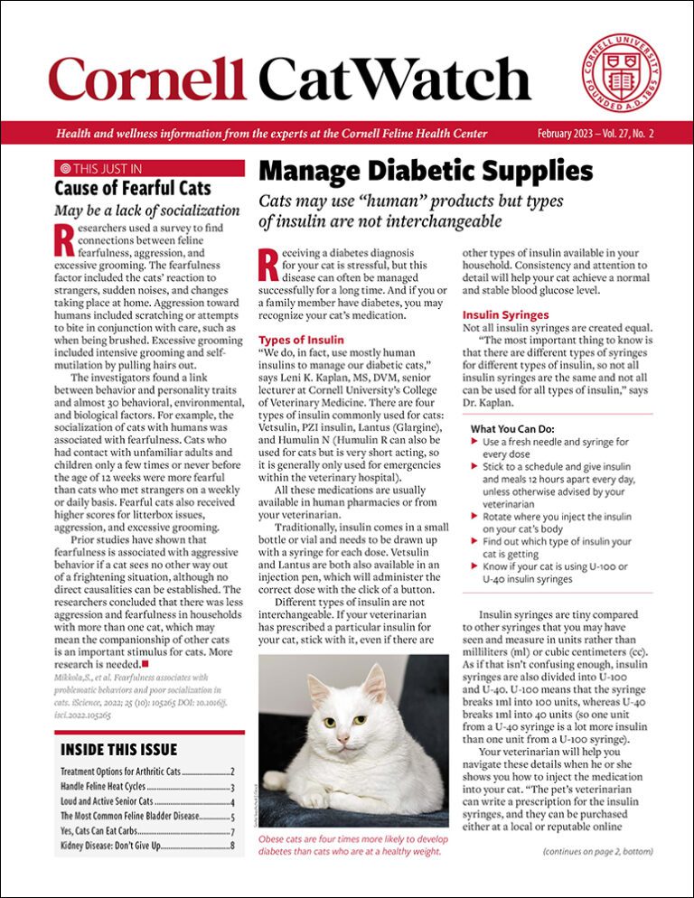 Download The Full February 2023 Issue PDF