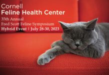 The Annual Fred Scott Feline Symposium