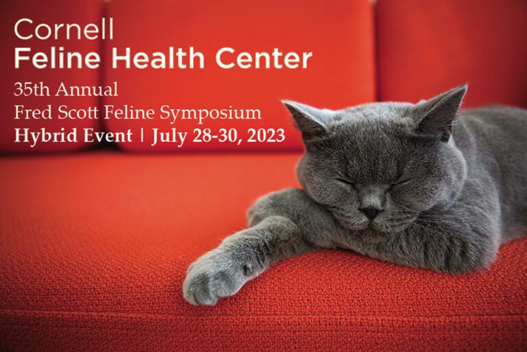 The Annual Fred Scott Feline Symposium