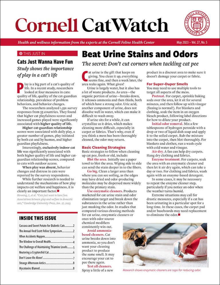 Download The Full May 2023 Issue PDF