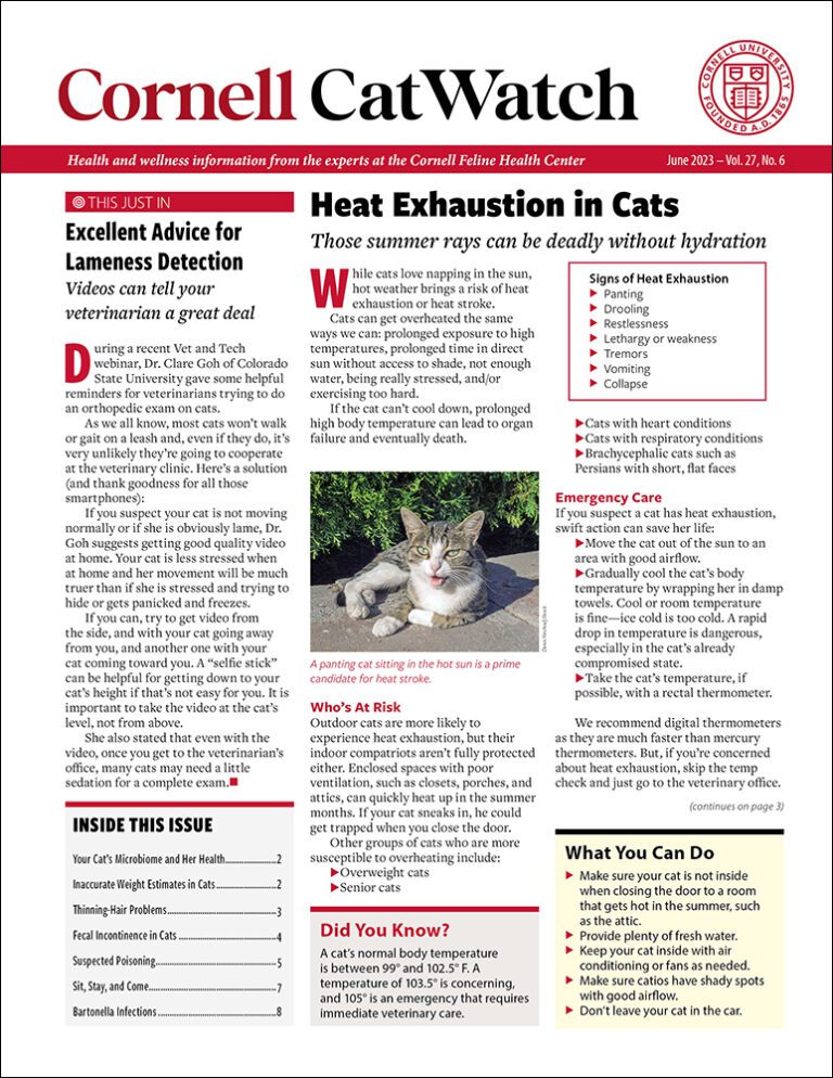 Download The Full June 2023 Issue PDF