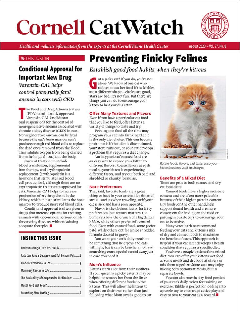 Download The Full August 2023 Issue PDF