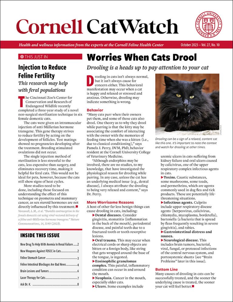 Download The Full October 2023 Issue PDF