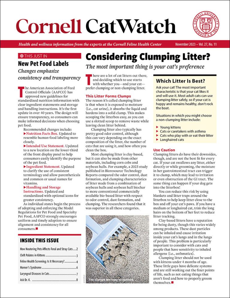 Download The Full November 2023 Issue PDF
