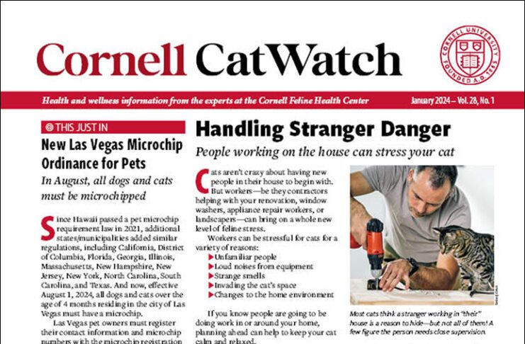 Optimal Weight - Catwatch Newsletter