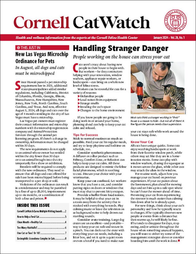 Download The Full January 2024 Issue PDF