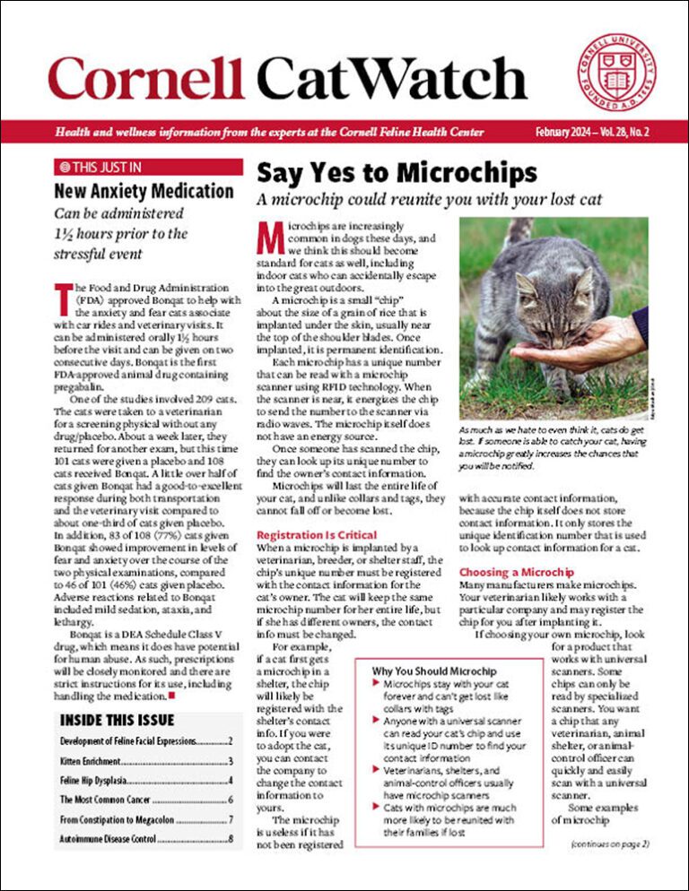 Download The Full February 2024 Issue PDF
