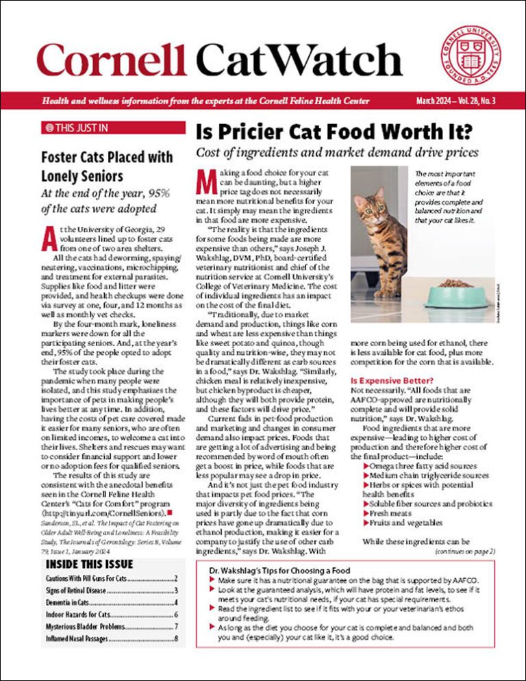 Download The Full March 2024 Issue PDF