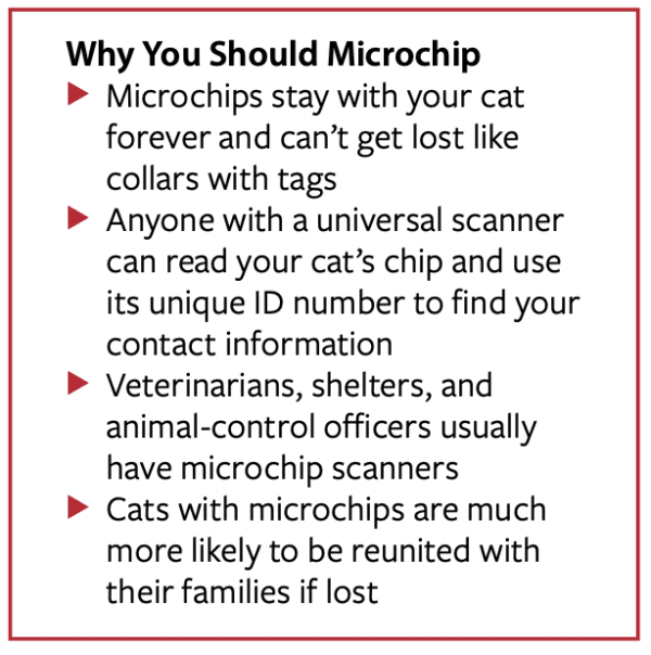 Image showcasing Say Yes to Microchips - Catwatch Newsletter