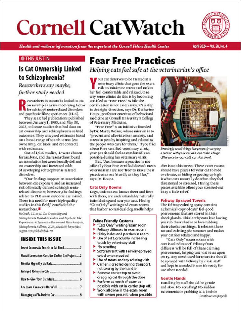 Download The Full April 2024 Issue PDF