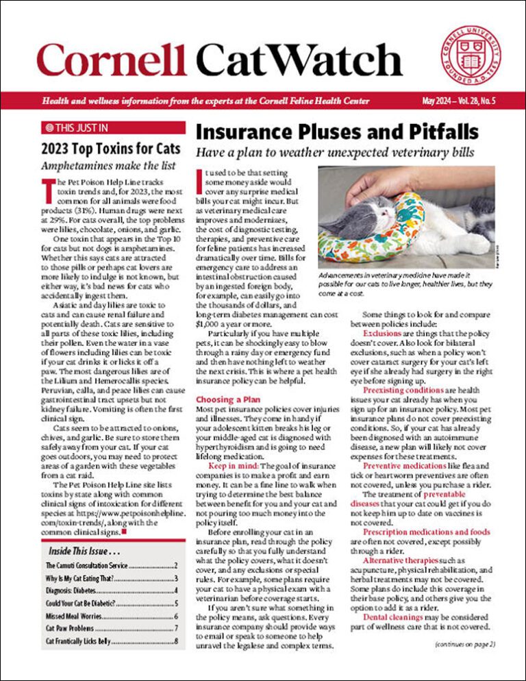 Download The Full May 2024 Issue PDF