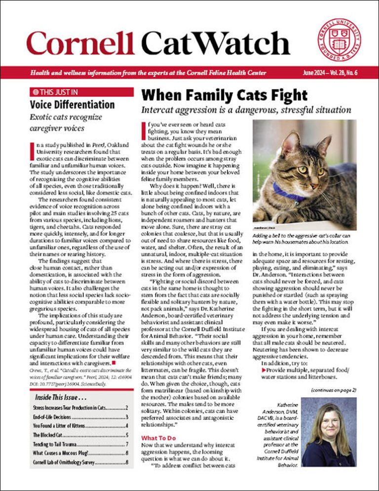 Download The Full June 2024 Issue PDF