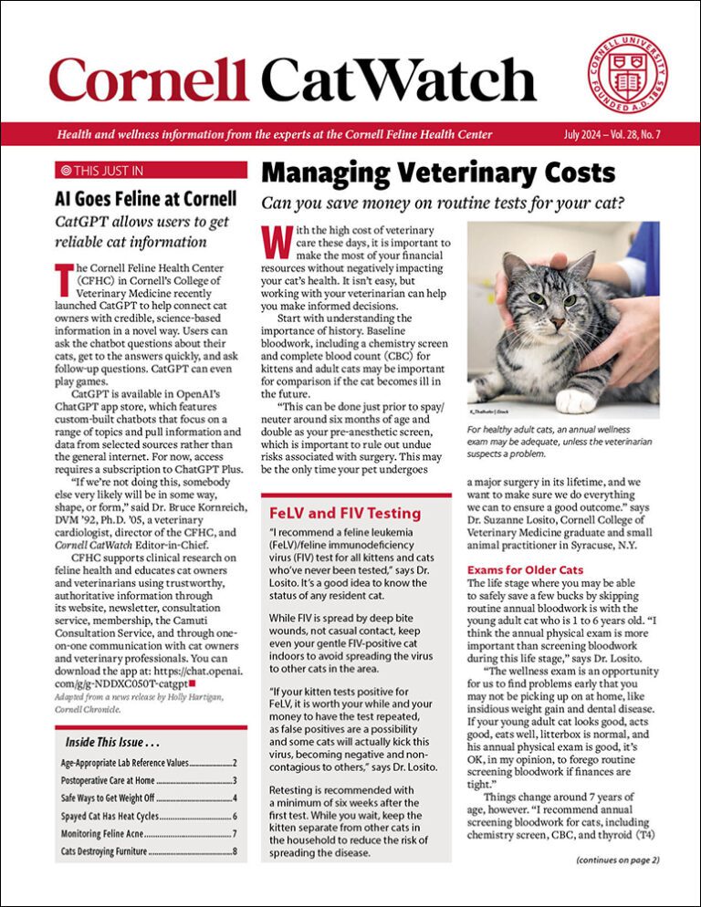 Download The Full July 2024 Issue PDF