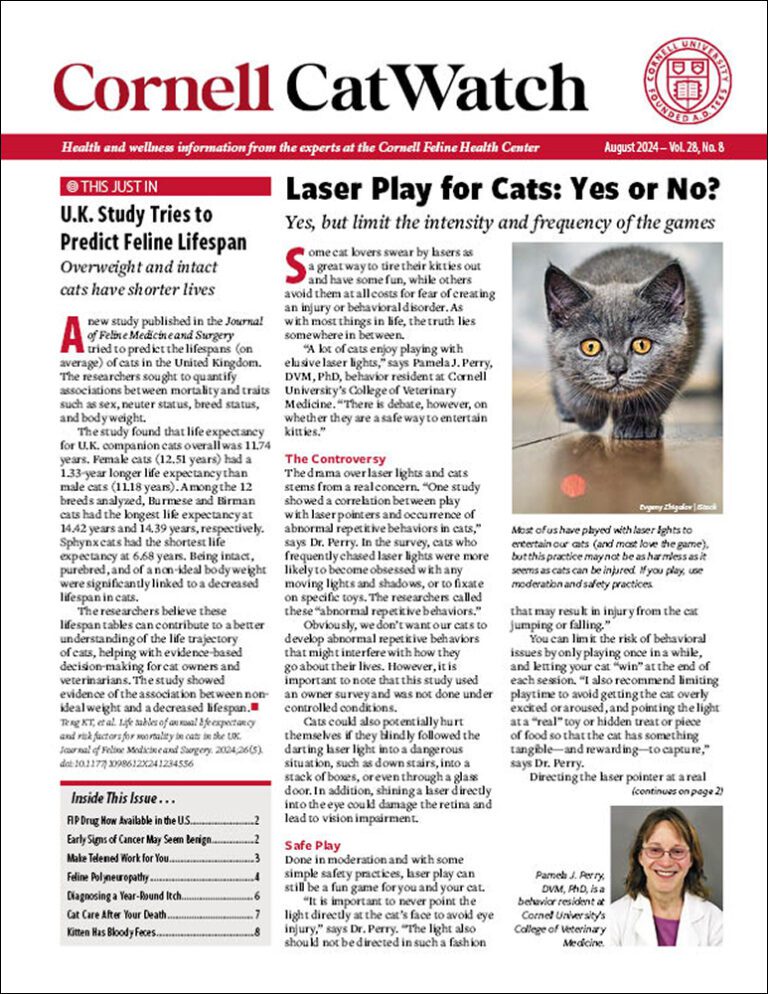 Download The Full August 2024 Issue PDF