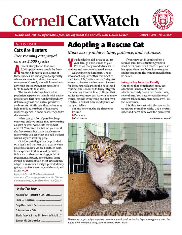 Download The Full September 2024 Issue PDF