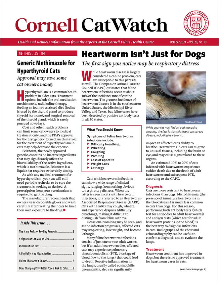 Download The Full October 2024 Issue PDF