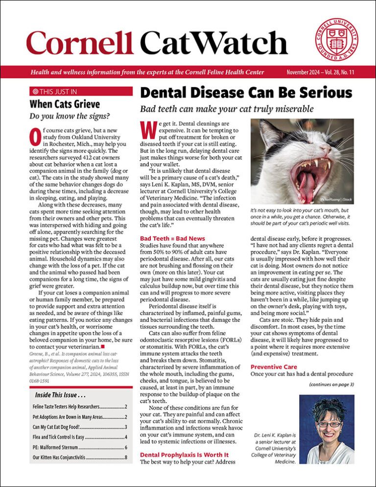 Download The Full November 2024 Issue PDF