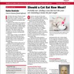 Download The Full December 2024 Issue PDF