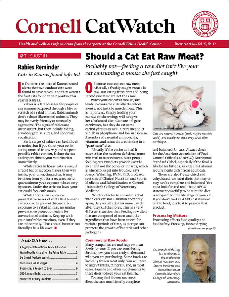 Download The Full December 2024 Issue PDF