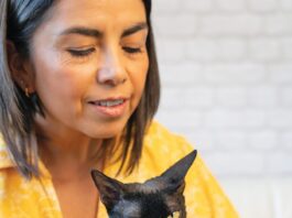 How to Trim Your Cat’s Claws