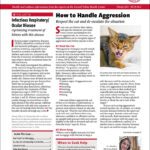 Download The Full February 2025 Issue PDF
